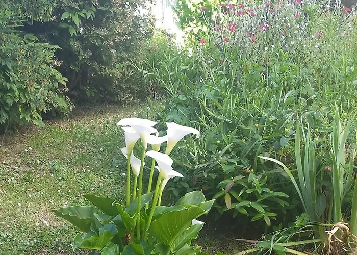 Mesnil Val Criel-sur-Mer